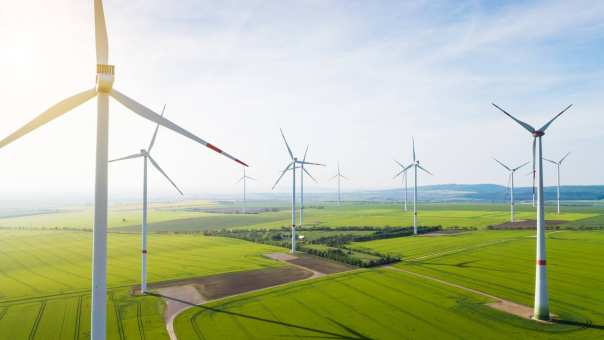 Foto van windmolens voor factsheet Stichting Wiek II ihkv onderzoeksproject minor Circulaire Economie S2 2020-2021.