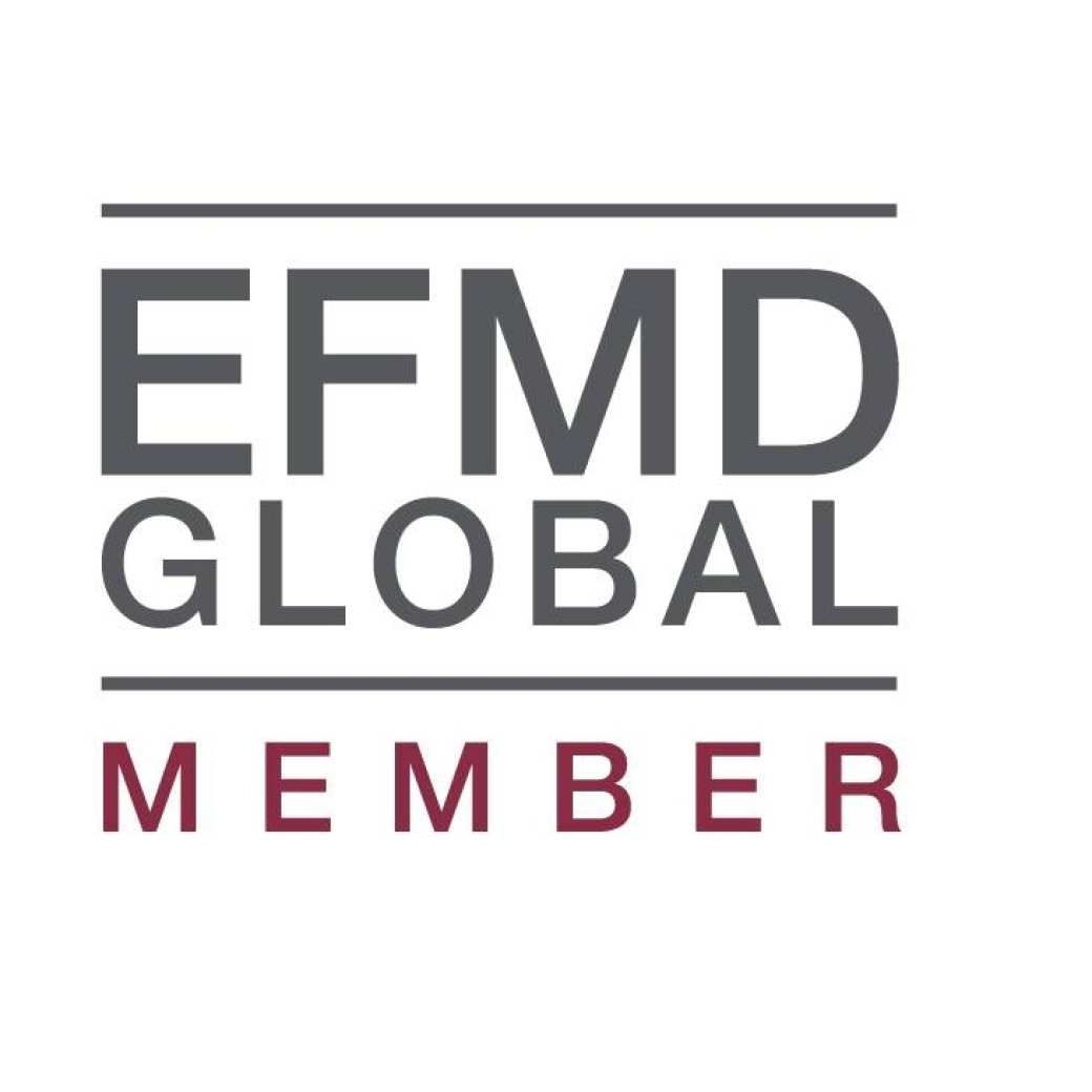 logo netwerk EFMD