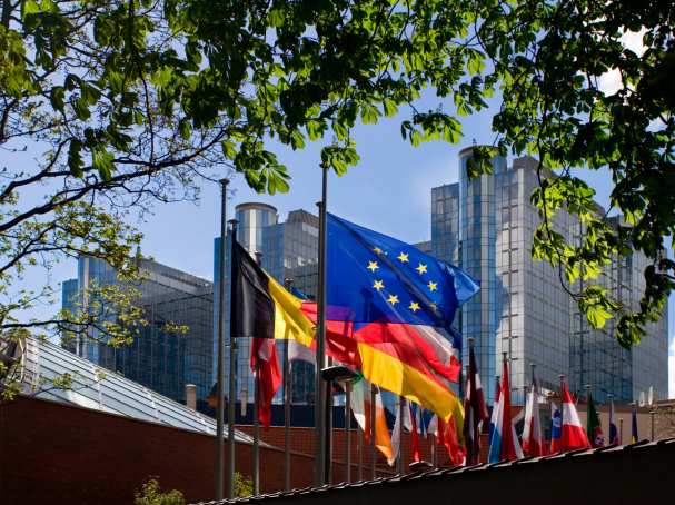 Europese vlag en andere landenvlaggen uit Europa, voor het Europees Parlement in Brussel. Studierichting Recht en Bestuur.