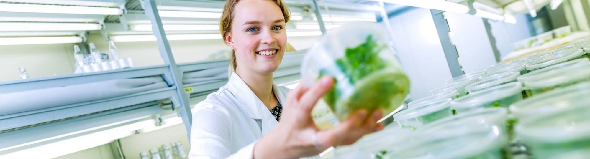 en medisch laboratoriumonderzoek student plantenpracticum laboratorium