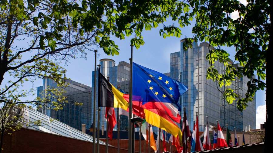 361032 Europese vlag en andere landenvlaggen uit Europa, voor het Europees Parlement in Brussel. Studierichting Recht en Bestuur.