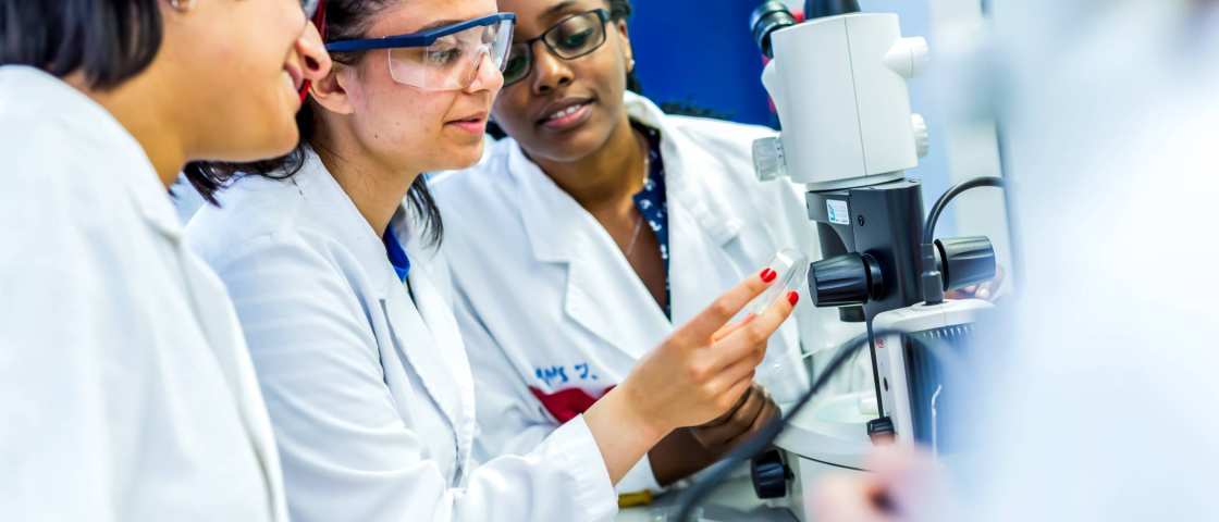 biologie en medisch laboratoriumonderzoek student samenwerken laboratorium