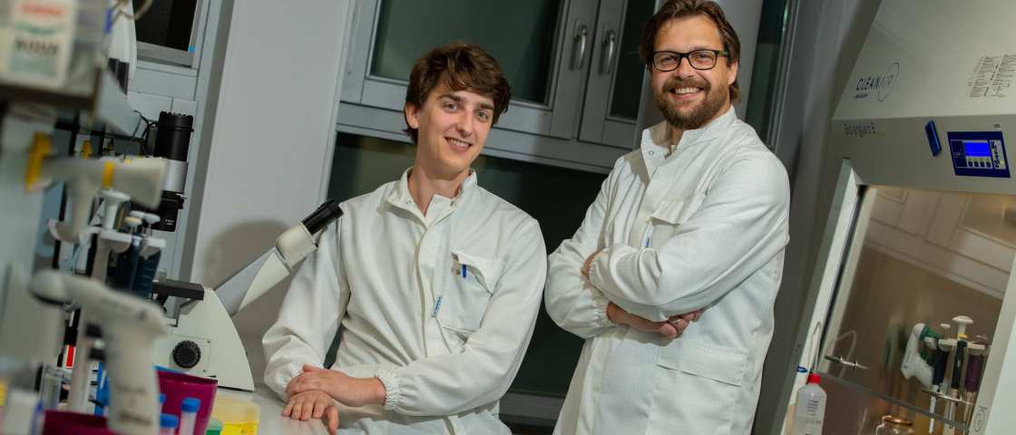 1a346598-5974-11ee-b892-024215b4a989 Bart Smeets en David van de Klashorst werken in HAN BioCentre aan het kweken van mini-niertjes om ziektes in de nieren mee te kunnen onderzoeken.