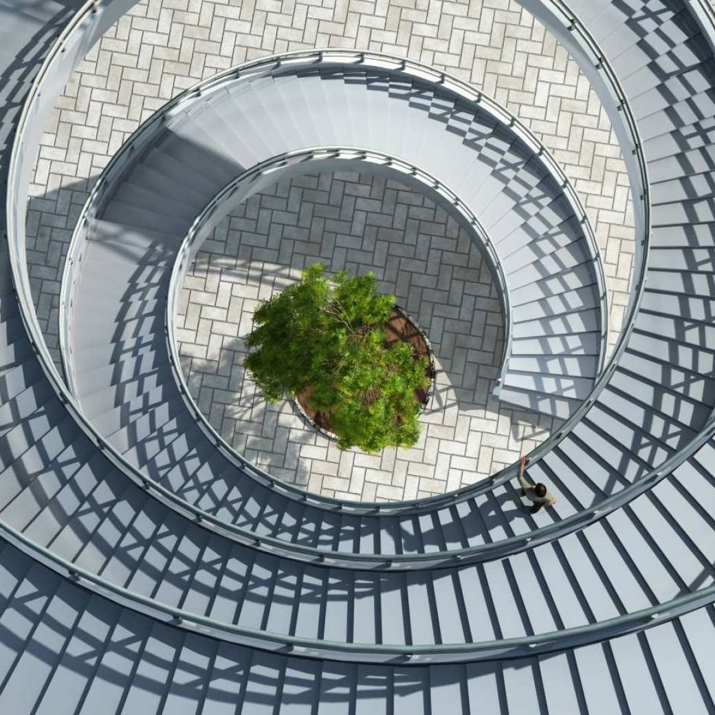Tree in spiraling staircase