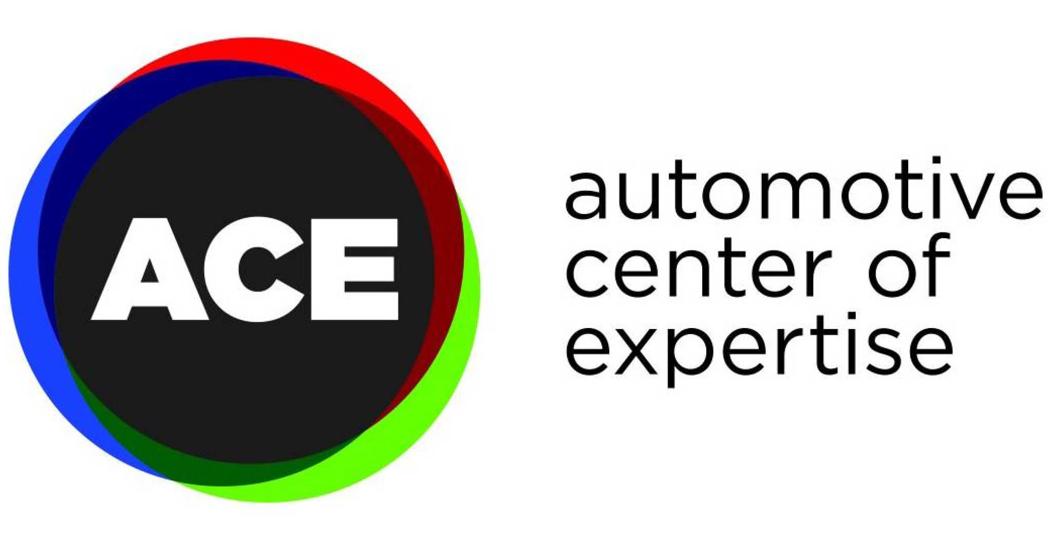 151479 Logo netwerk ACE