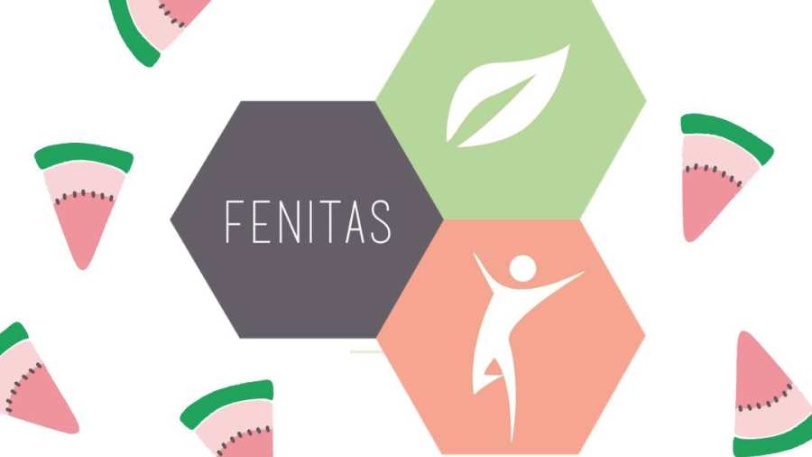 Logo van Fenitas