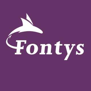 Fontys ICT