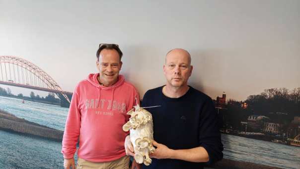 b33e70b8-0cfc-11ee-ace2-02565807075b Procescoördinator Mark Heussen en Ruud Klep van de Versfabriek poseren voor een afbeelding van Nijmegen aan de Waal met een zak waarop oesterzwammen groeien op mengsel met koffiedrab.
