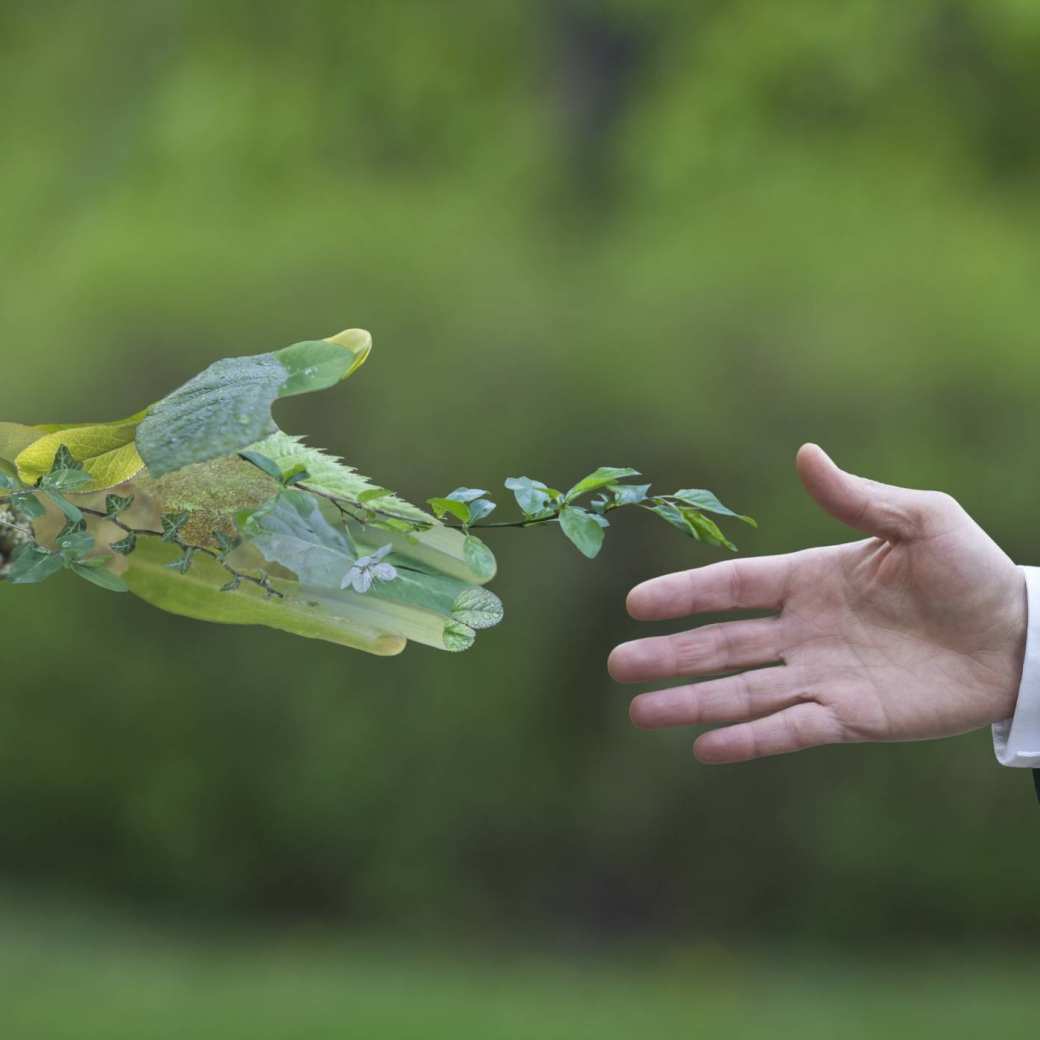 Groene hand en menselijke hand: toekomst is plant