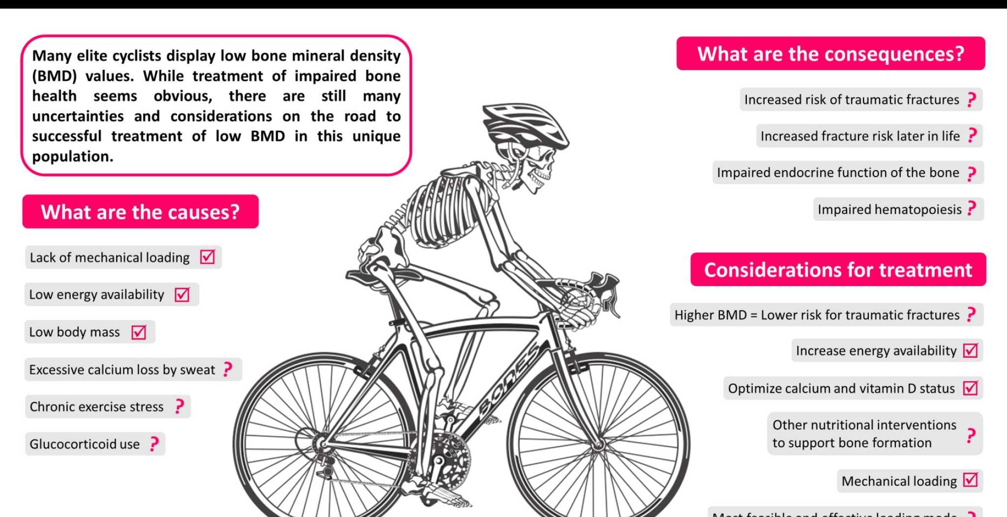 Infographic over oorzaken, gevolgen en behandeling van broze botten. Centraal staat een skelet op een fiets.