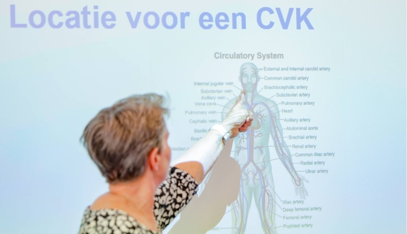 Student Leraar in de Zorg wijst iets aan op het scherm.