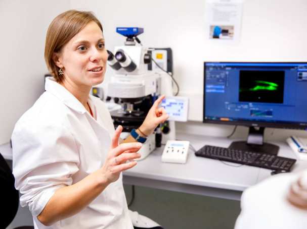 c-elegans10. Samantha Hughes, Nikki Kolsters