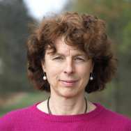 docent alida van den berg master musculoskeletale revalidatie