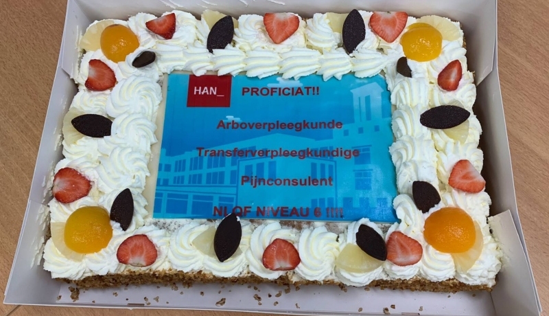 Taart t.b.v. de inschaling van Arboverpleegkundige, Transferverpleegkundige en Pijnconsulent op NLQF6