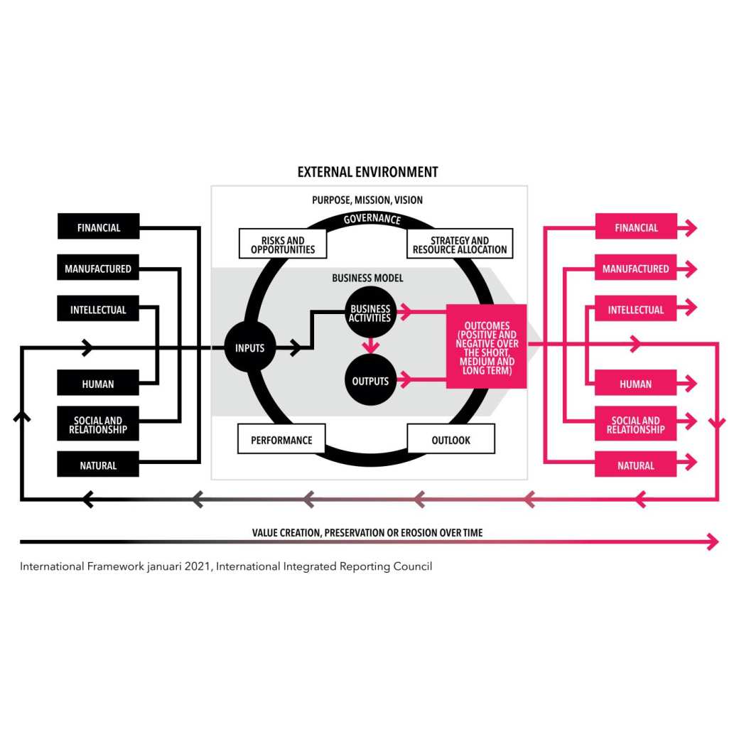 De zes waardesoorten zijn ook terug te vinden in de International Integrated Reporting Council guidelines (IIRC richtlijnen)