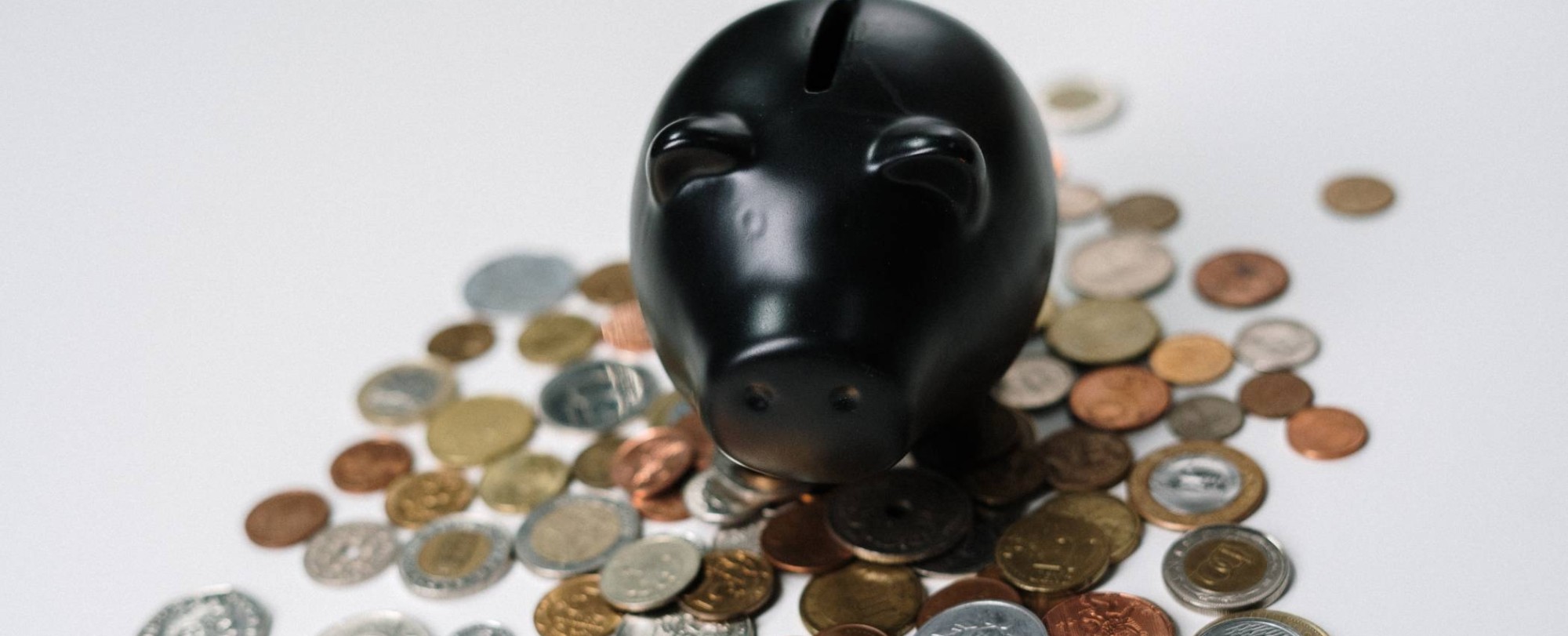 gebouw met veel groen