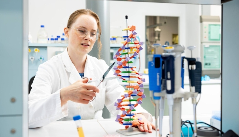 impressie toepassing kennis uit cursus Molecular Biology