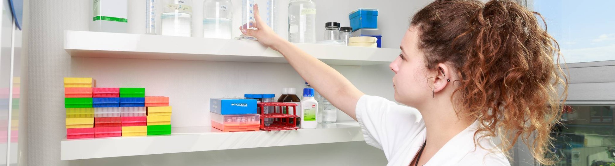 impressie toepassing kennis uit cursus Molecular Biology