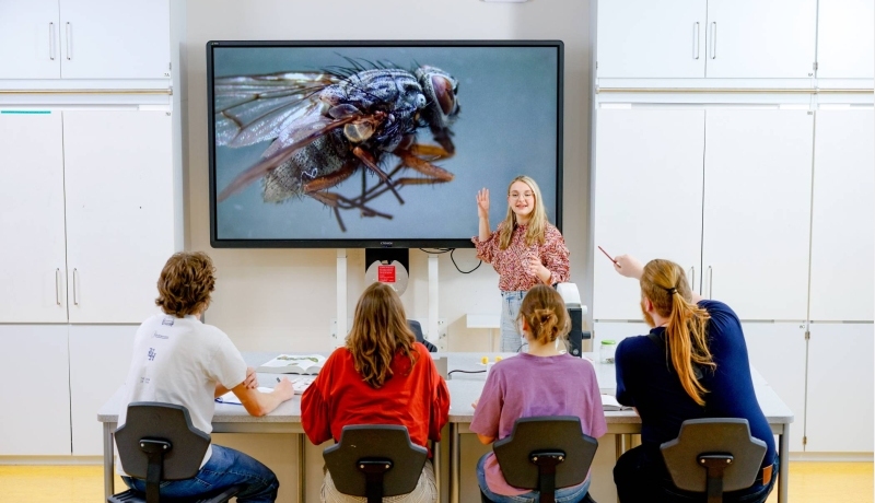 Studente Leraar Biologie staat voor de klas met op het digibord een grote vlieg afgebeeld. Haar medestudenten zitten voor haar.