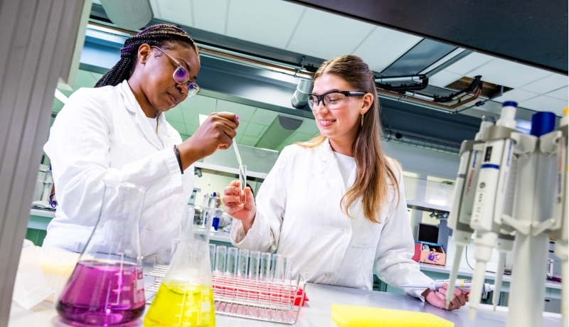 voorbeeld les cursus Immunohematologie