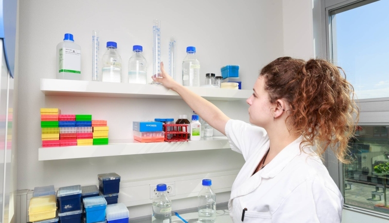 impressie toepassing kennis uit cursus Molecular Biology