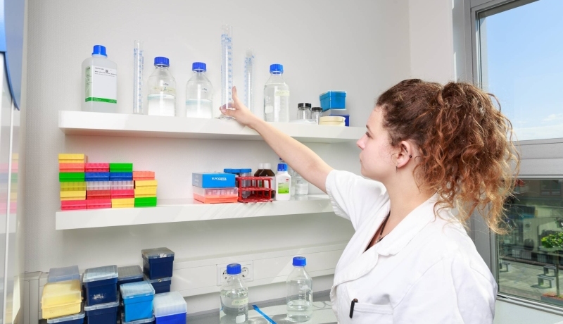 impressie toepassing kennis uit cursus Molecular Biology