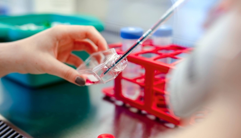 impressie toepassing kennis uit cursus virologie