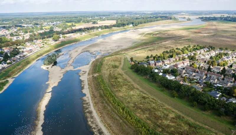 vaargeul