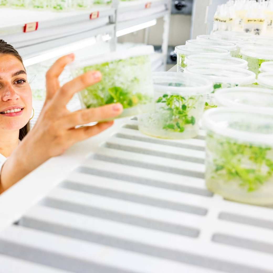 Student Nora in de plantencel