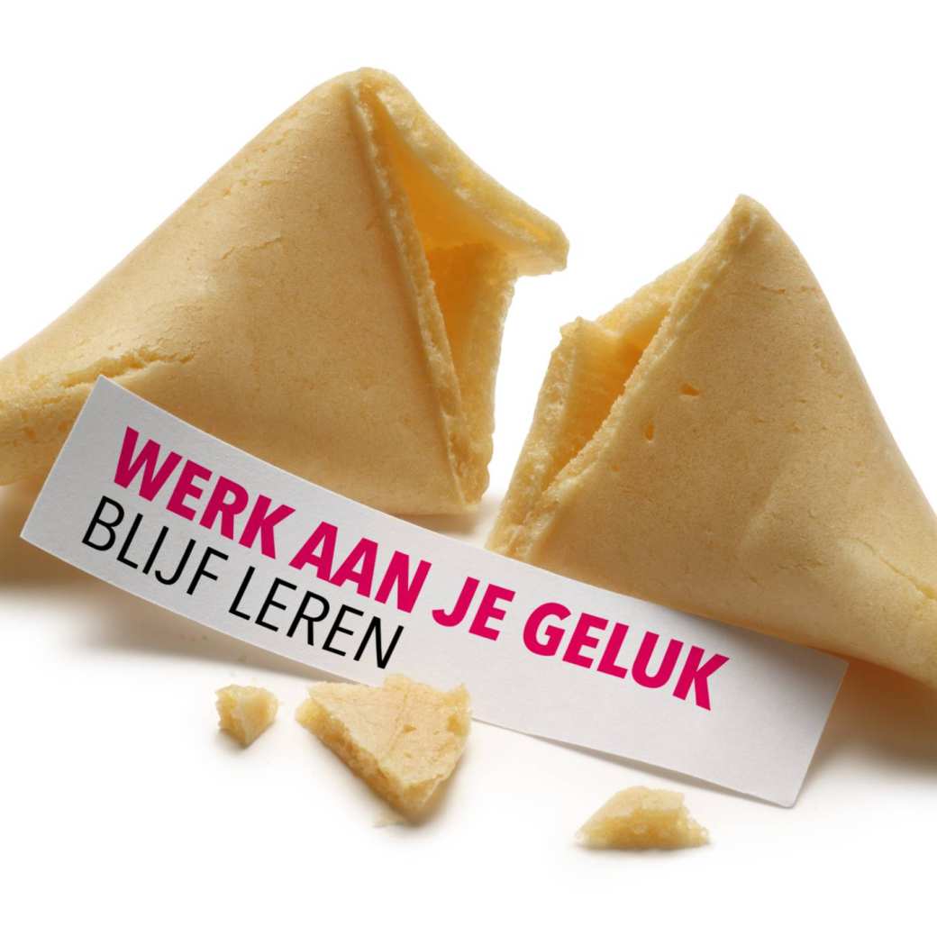 Gelukskoekje met slogan Werk Aan Je Gelijk. Blijf Leren. Nascholingscampagne. Leven Lang Ontwikkelen.