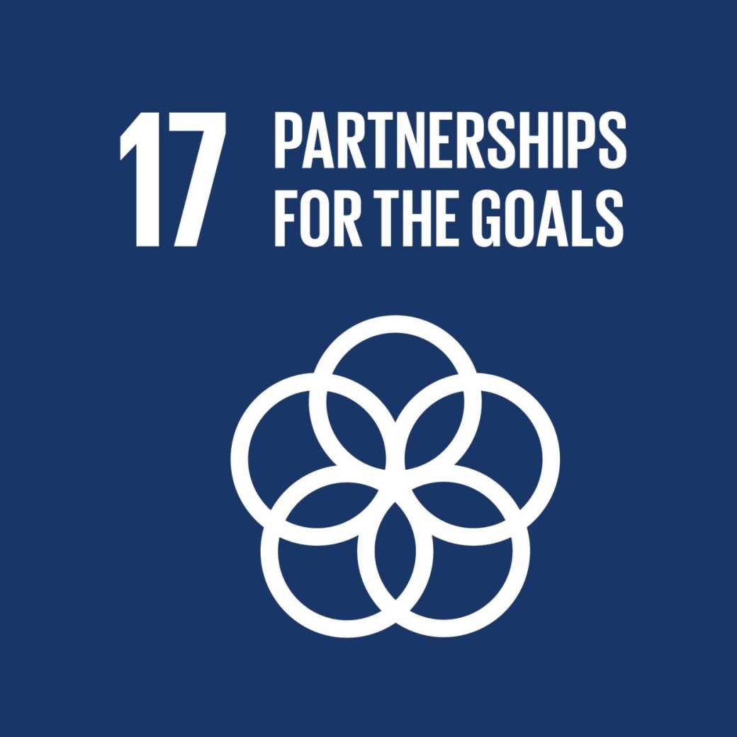 plaatje sdg 17 samenwerken voor strategische doelen
