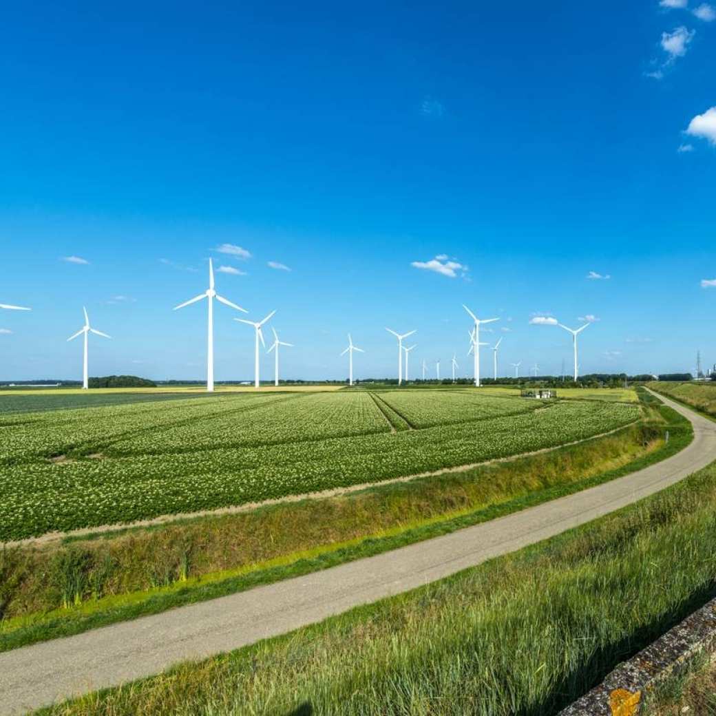 Windmolens in een typisch Nederlands vlak landschap met een weggetje dat door het landschap kronkelt, terwijl je de windmolens aan de horizon ziet.