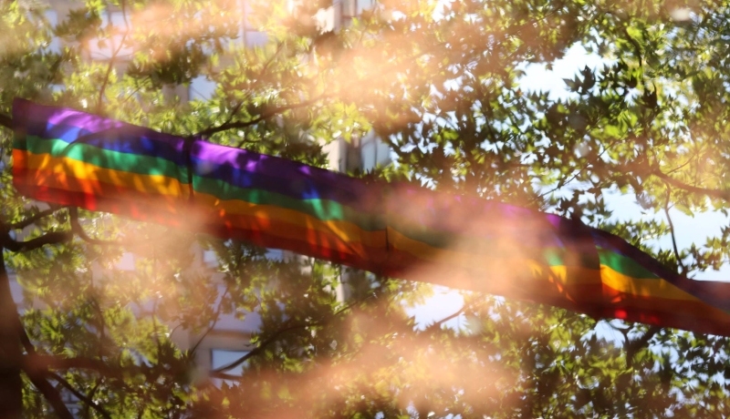 Regenboogvlag wappert door de bomen