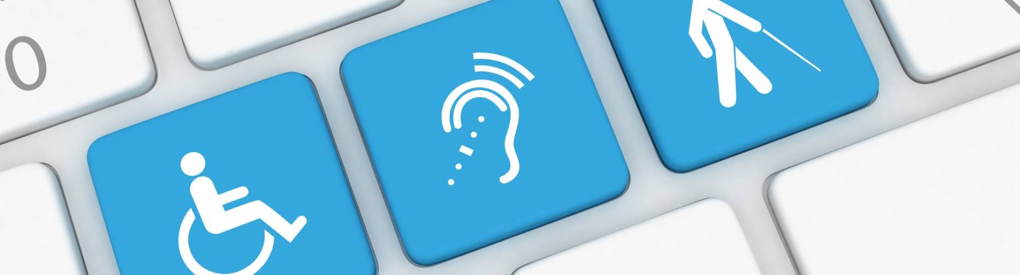 Digitale toegankelijkheid e-module