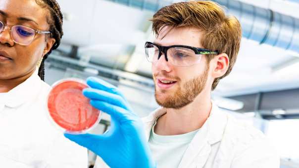 studenten aan het werk met een petrischaaltje
