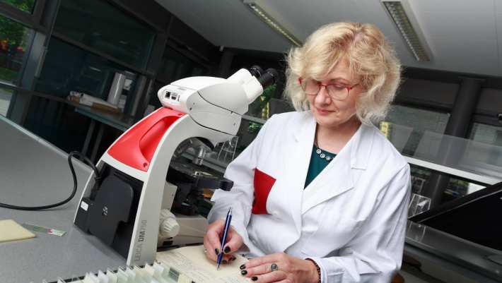 Cursist post-hbo Life Sciences aan het werk met een microscoop.
