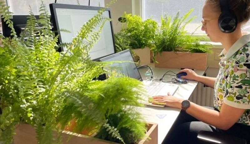 Stagiair Emma Kok in een groende kantooromgeving in het kader van het project Gezonde Werkplek