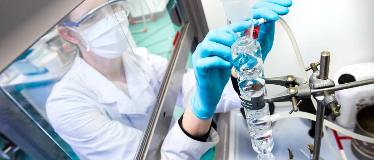 biocentre bioraffinage. Karin Struijs