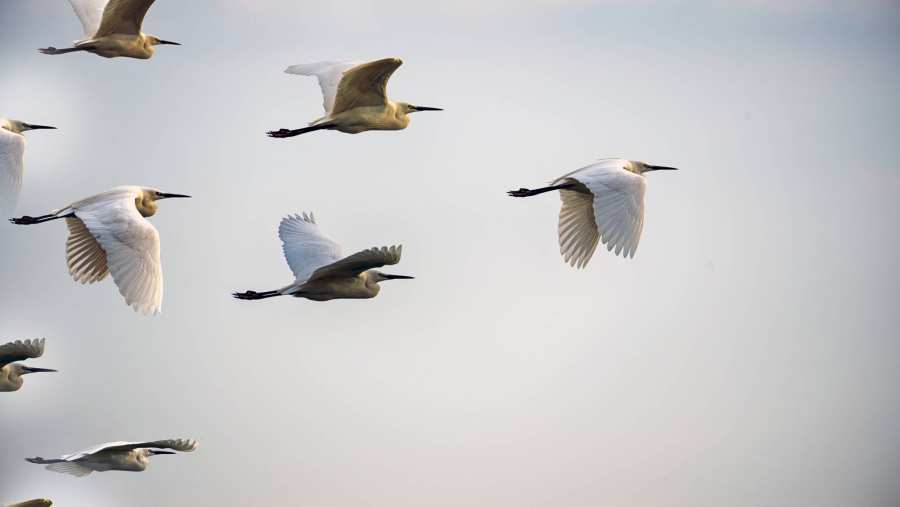Afbeelding voor artikel over het Integriteitsatelier voor de lectoratenpagina van Financial Ethics