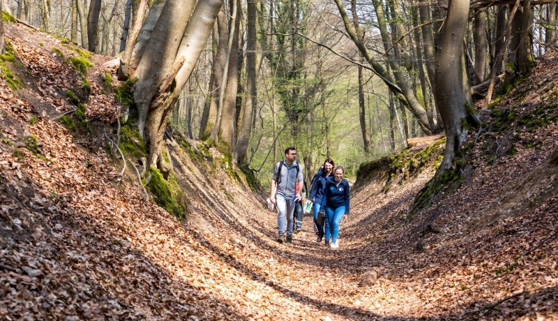 Biologie studenten wandelen door het bos