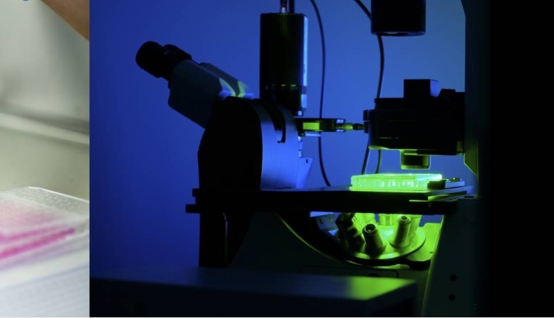 Organoid, microscoop en labonderzoek staan voor drug discovery.