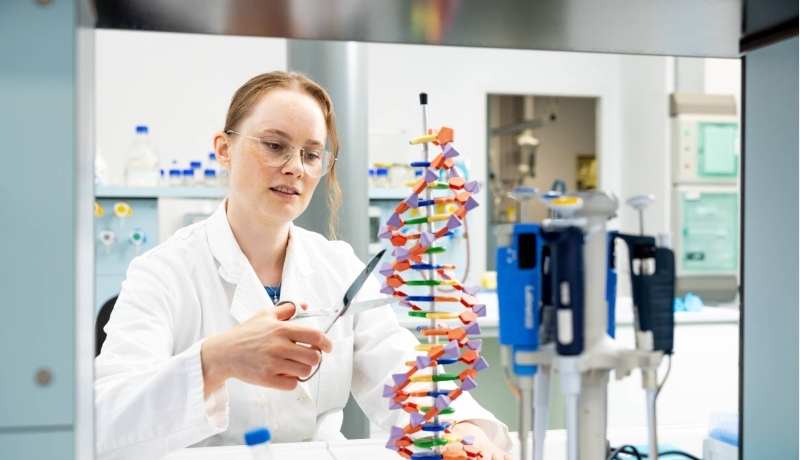 impressie toepassing kennis uit cursus Molecular Biology