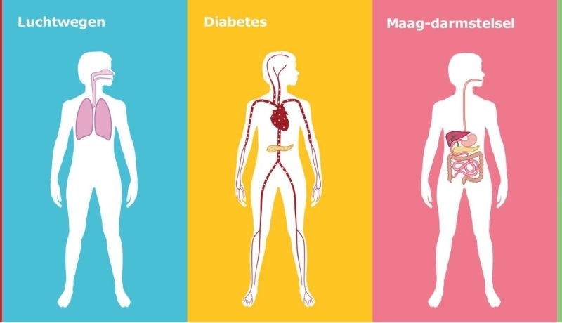 gestileerde afbeelding lichaam en organen