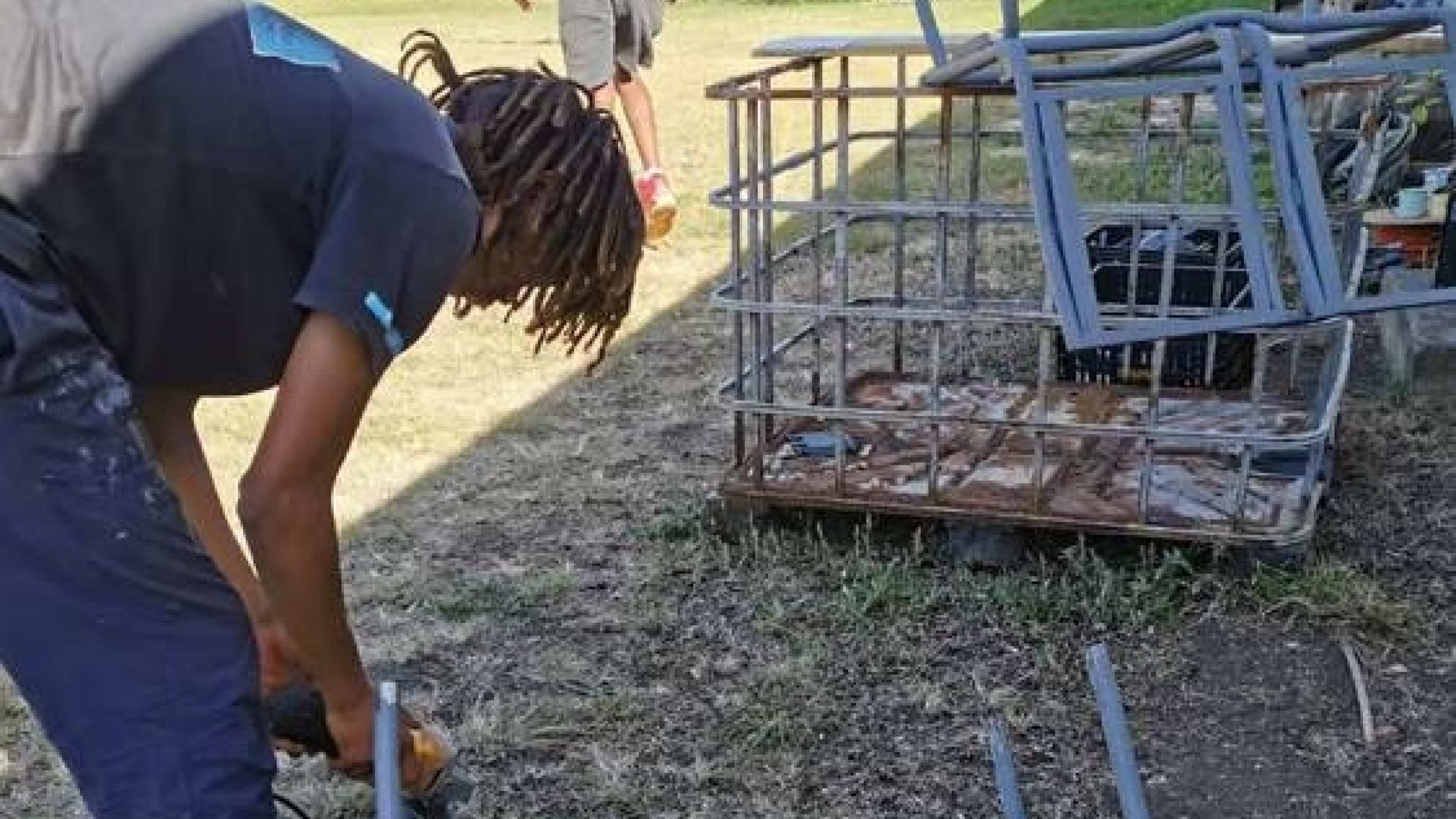 Beeldmateriaal van het paardentaxi project van IPO-student Esmeralda van Willegen