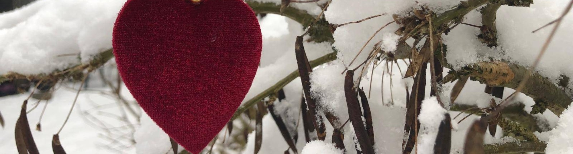 Een foto van een rood hart in de sneeuw