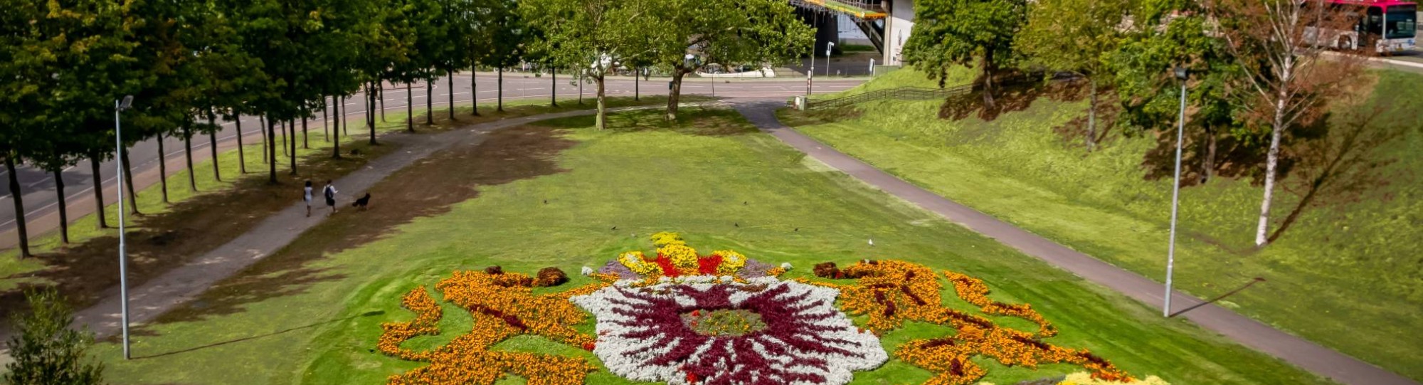 Uitzicht op Waalbrug in Nijmegen