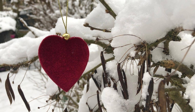 Een foto van een rood hart in de sneeuw