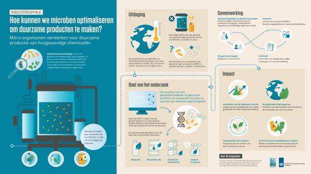 Illustratie behorend bij het project Industriophile van HAN BioCentre