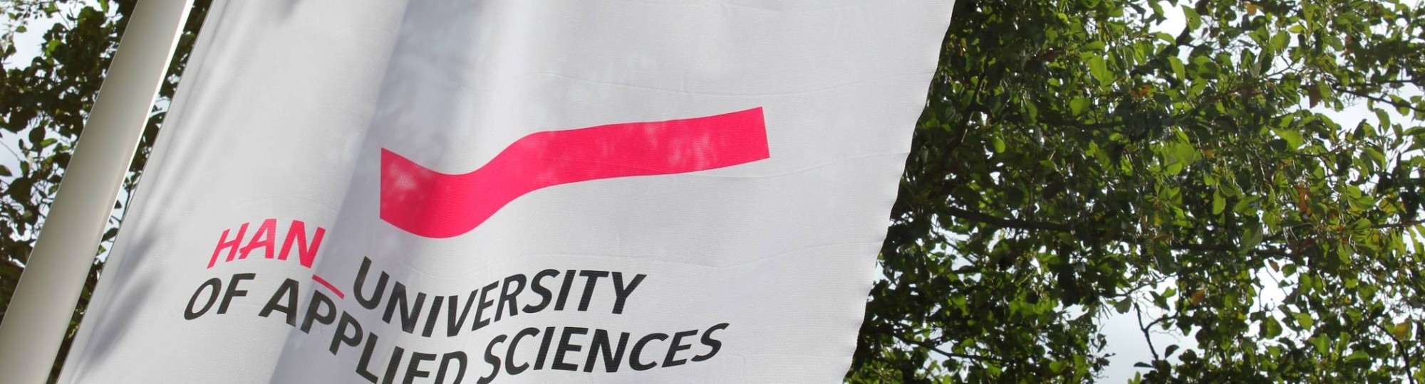 docent kijkt naar leerlingen die aan de slag zijn