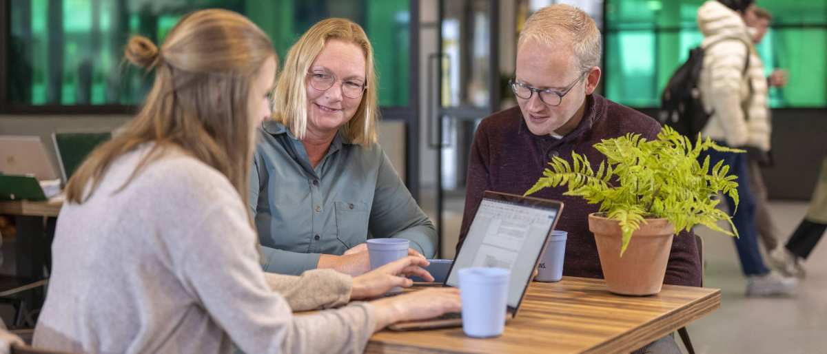 3 studenten zitten in een café te werken met een laptop. Groene achtergrond.